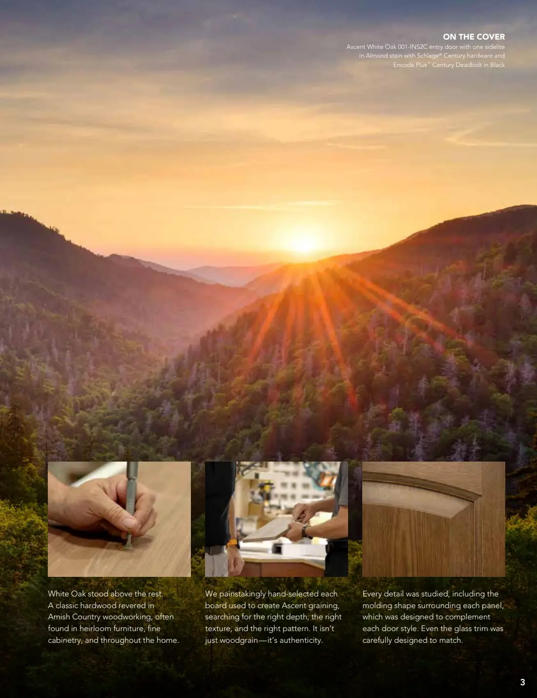 Entry Doors: Signet, Ascent & Legacy brochure, page 4